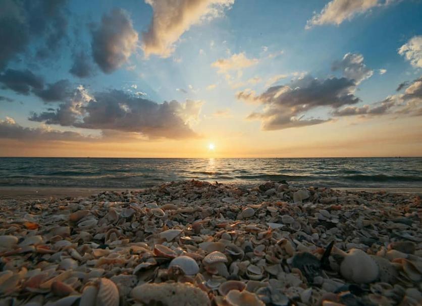 Spiaggia Foto