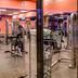 Palestra