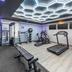 Palestra