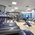 Palestra