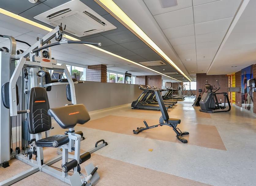 Palestra Foto