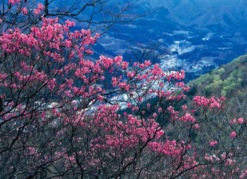Vista esterna Foto