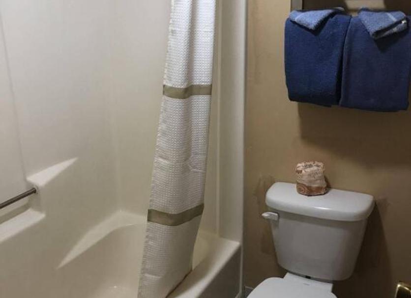 Bagno Foto