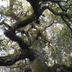 Vista esterna