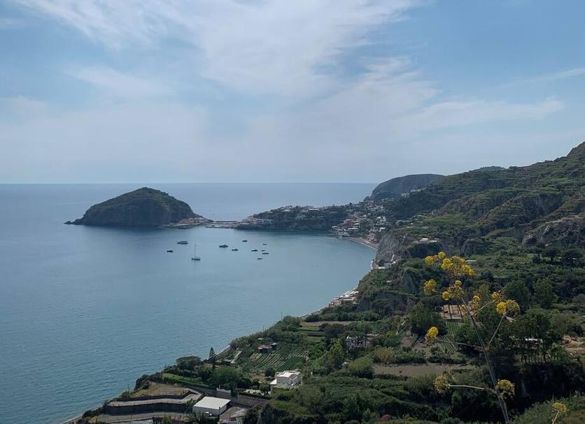 Attrazioni Foto