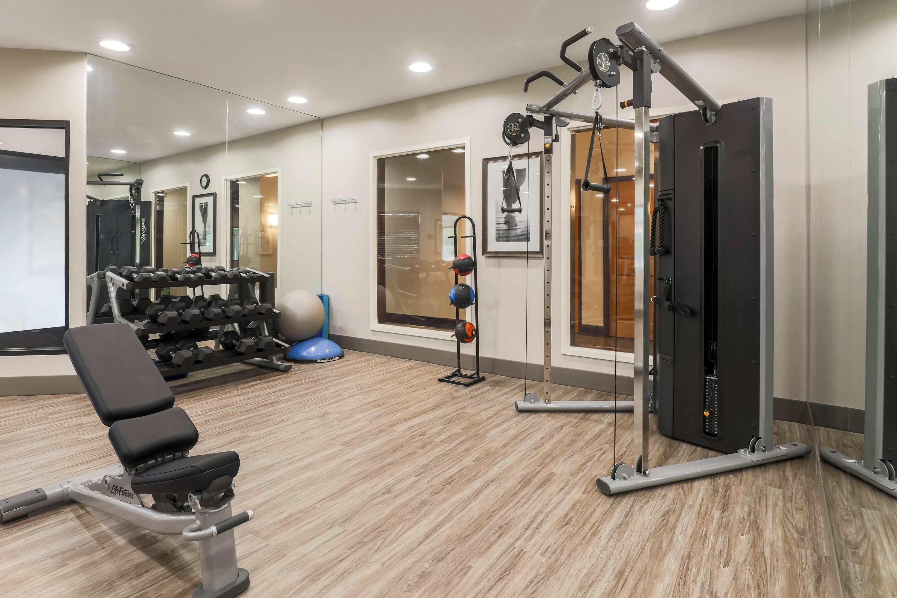 Palestra