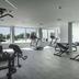 Palestra