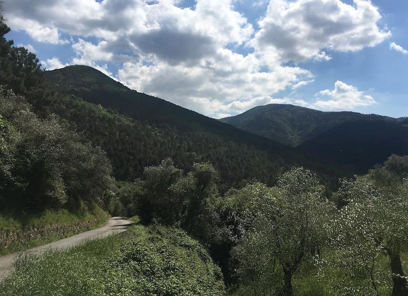 Altro Foto