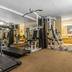 Palestra