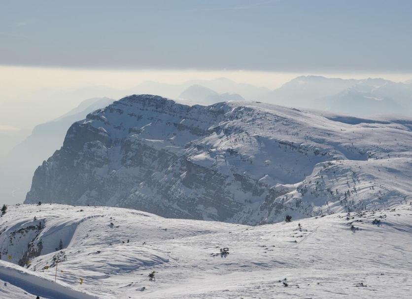 Servizi Foto