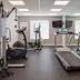 Palestra