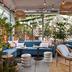 Area lounge