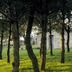 Vista esterna