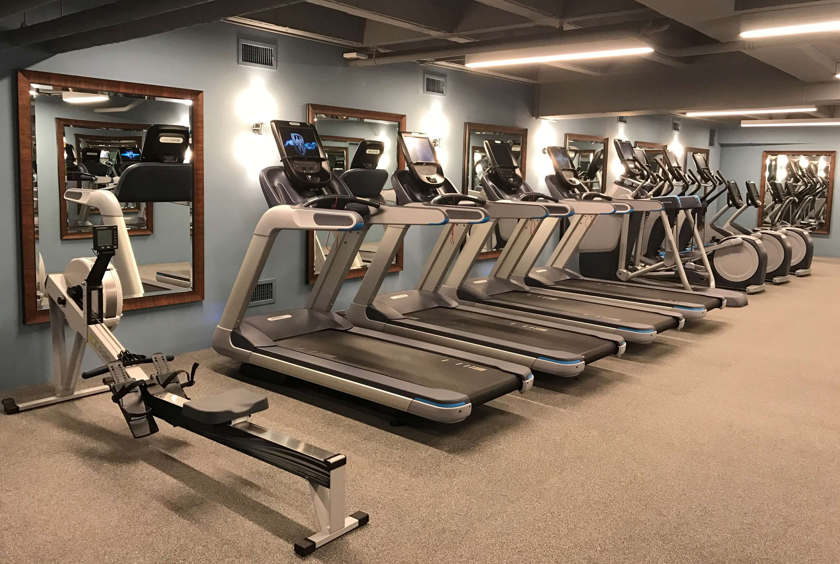 Palestra