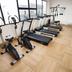 Palestra