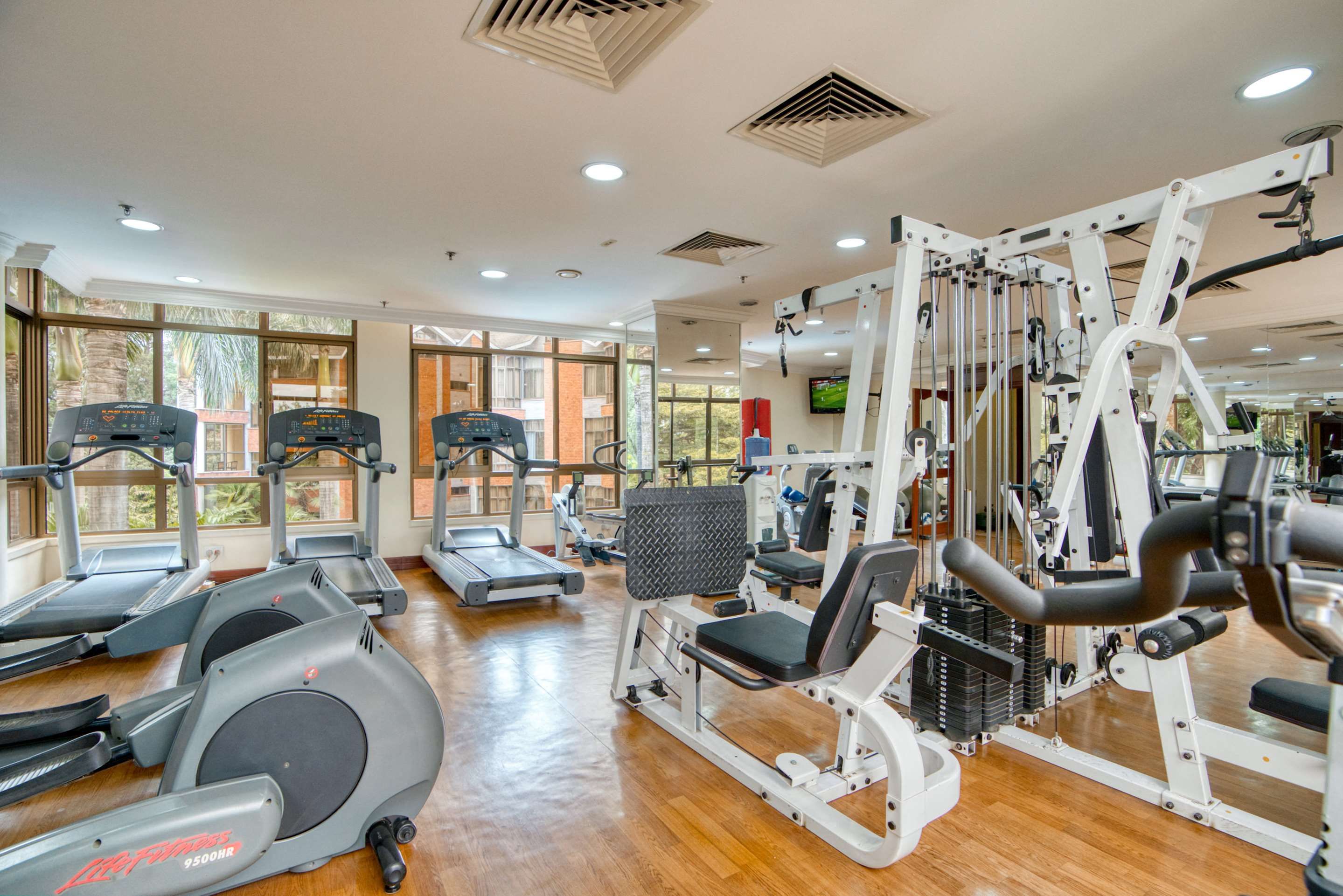 Palestra
