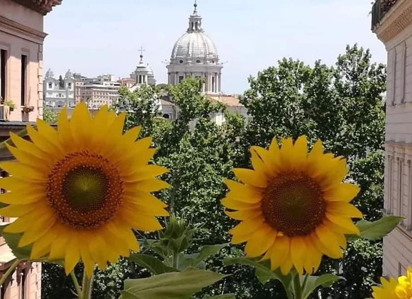Vista esterna Foto