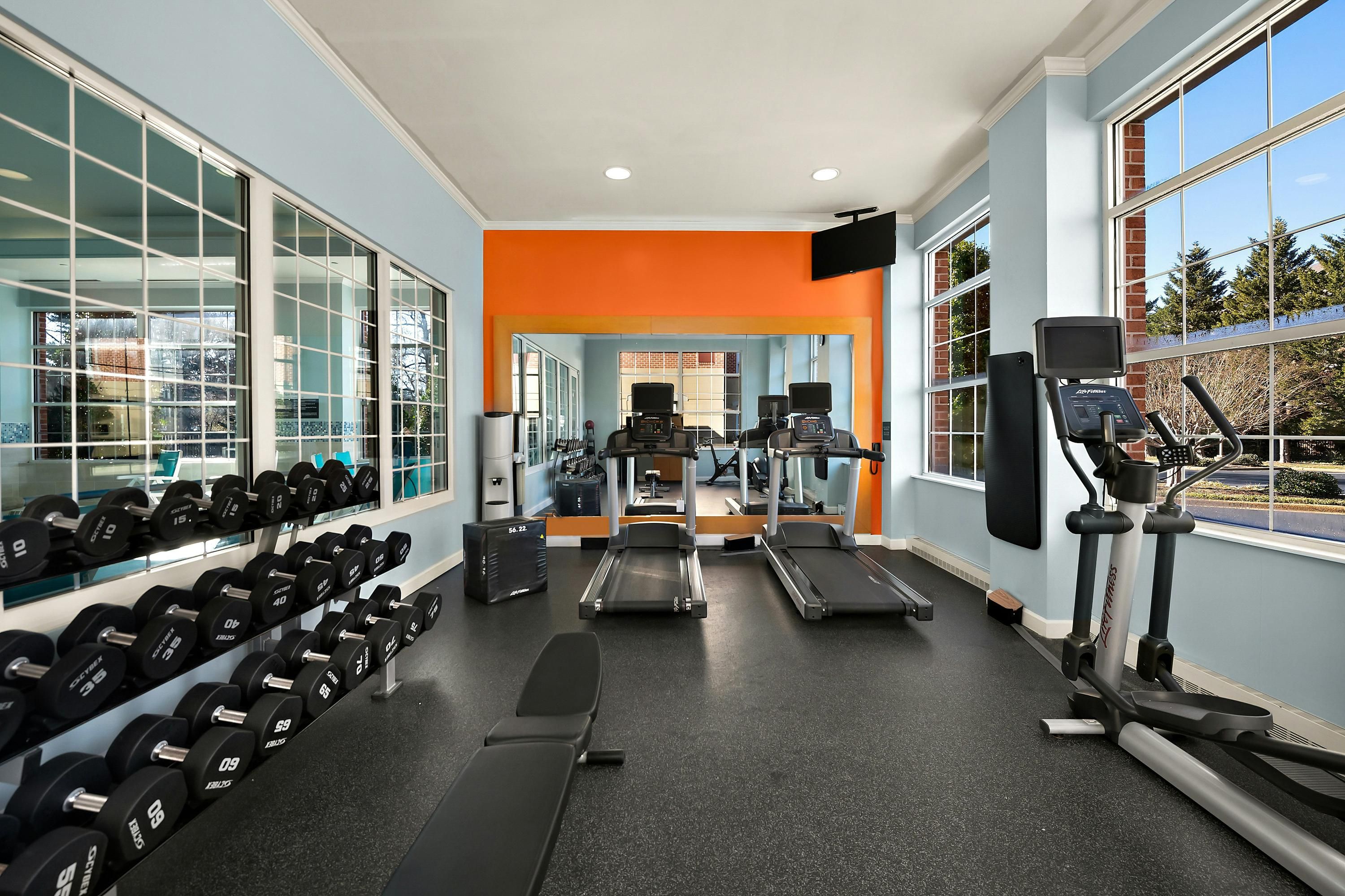 Palestra