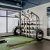Palestra
