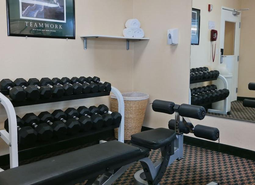 Palestra Foto