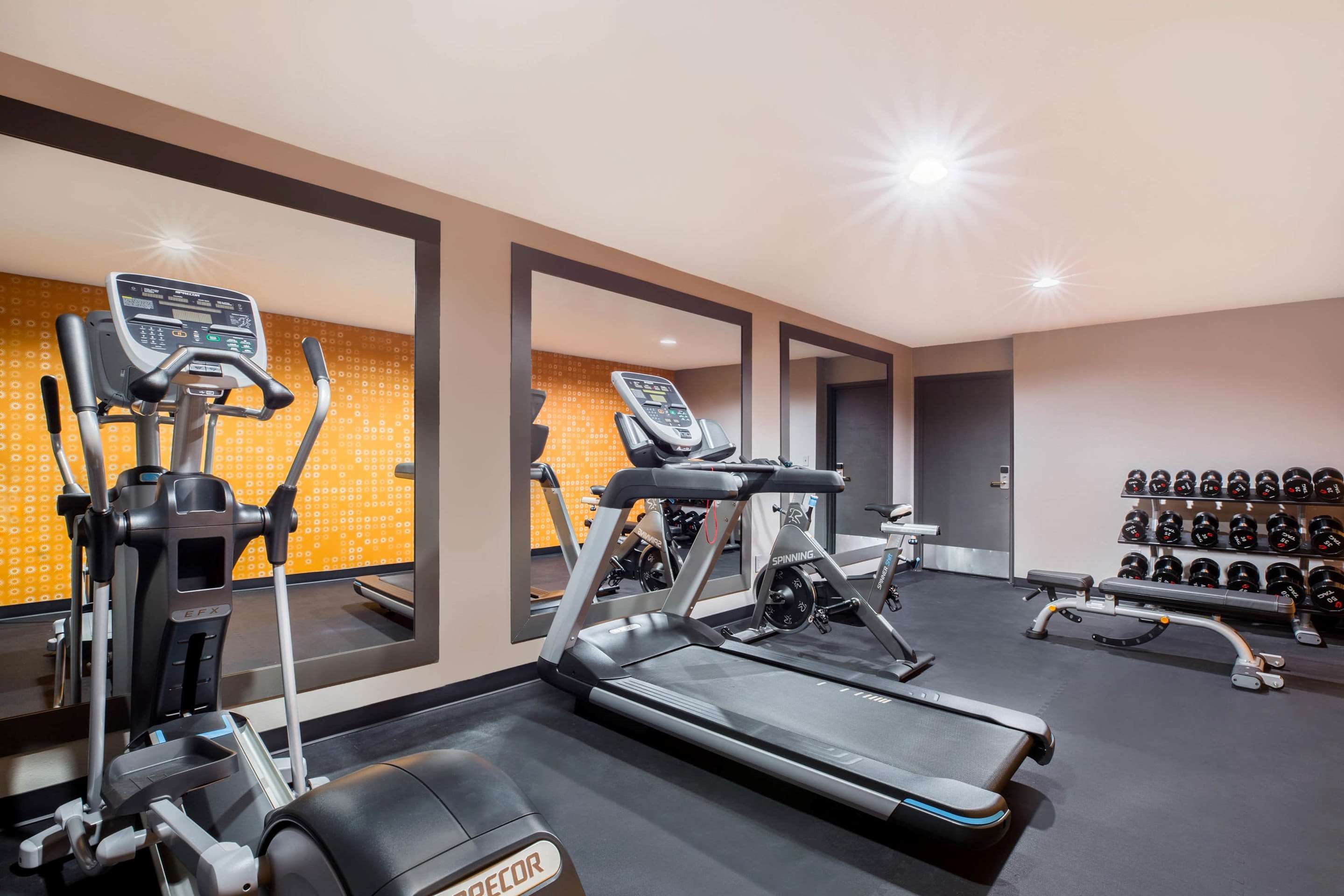 Palestra