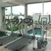 Palestra