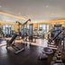 Palestra