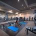 Palestra