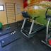 Palestra