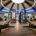 Palestra