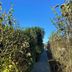 Vista esterna