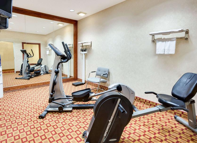 Palestra Foto
