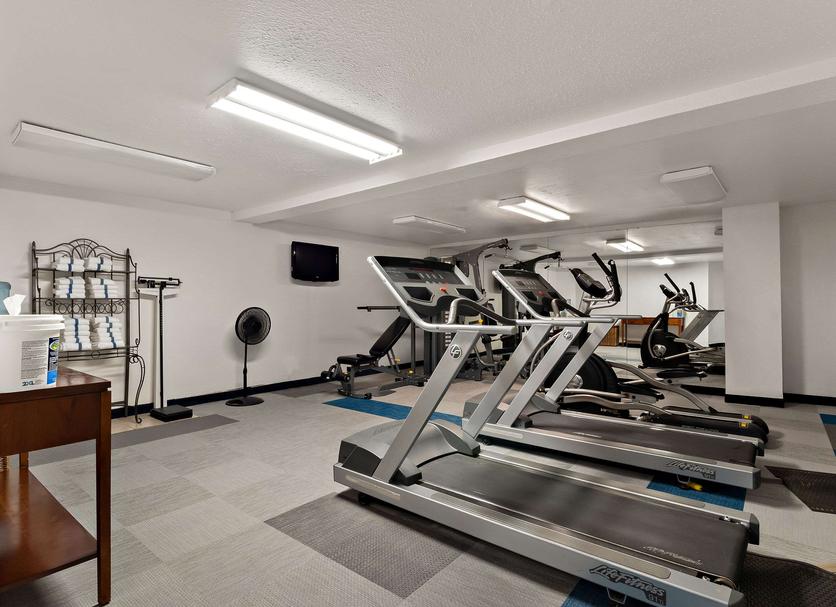 Palestra Foto