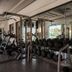 Palestra