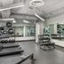 Palestra