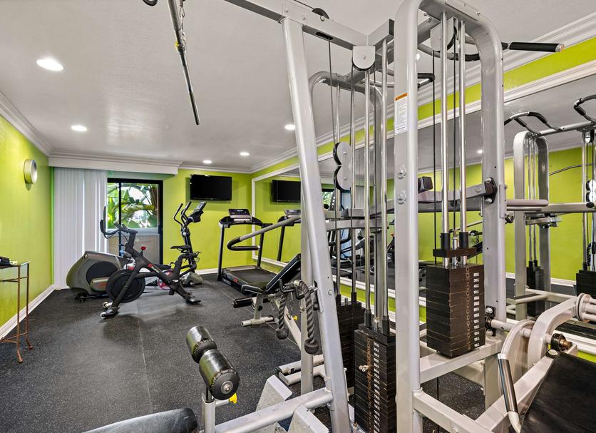 Palestra Foto