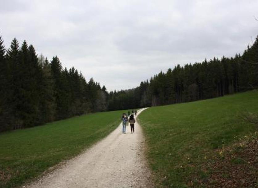 Altro Foto