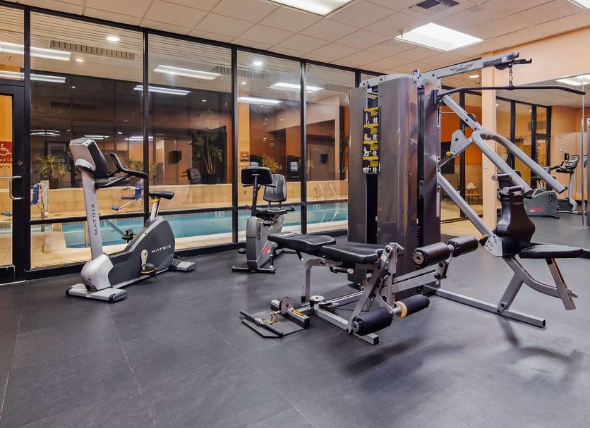 Palestra Foto