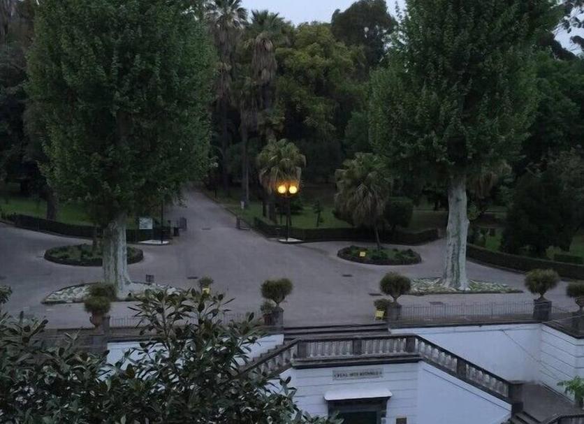 Altro Foto