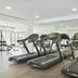 Palestra