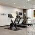 Palestra