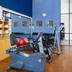 Palestra