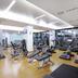 Palestra