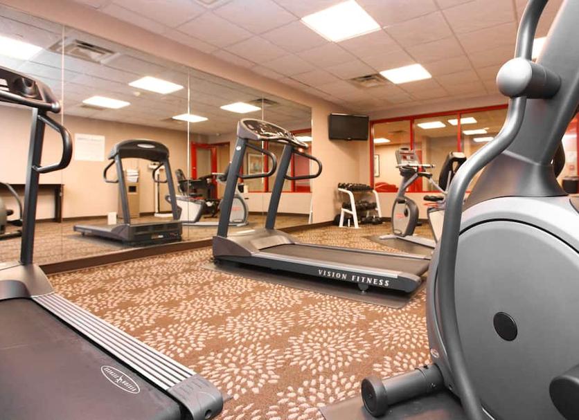 Palestra Foto