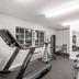 Palestra