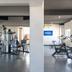 Palestra