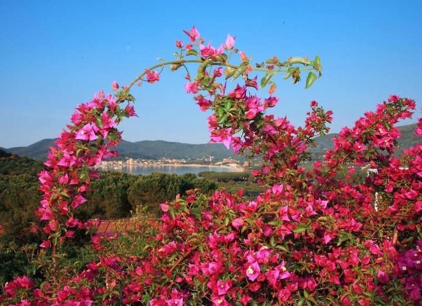 Vista esterna Foto
