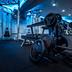 Palestra