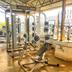 Palestra