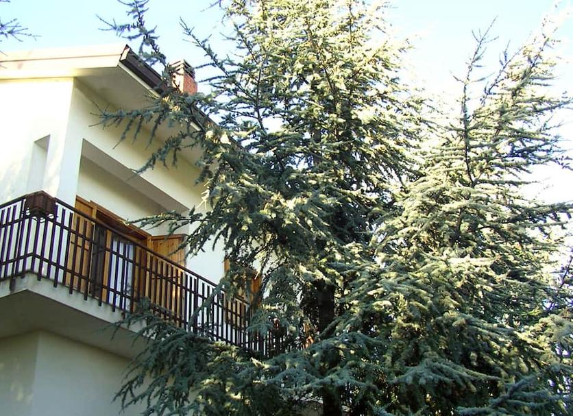 Vista esterna Foto